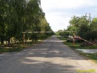 Миколаївка з panoramio.com