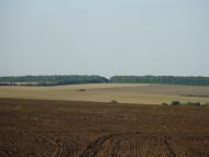 Андрушівка з panoramio.com