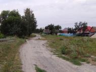 Барвінкове з panoramio.com