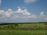 Питомник з panoramio.com