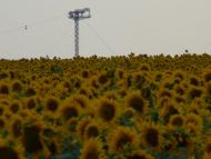 Сєверне з panoramio.com