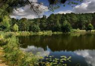 Новогуйвинське з panoramio.com