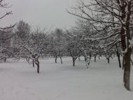 Ков'ярі - Останні фото