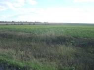 Ходаківці з panoramio.com