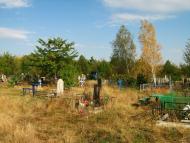 Дубки з panoramio.com