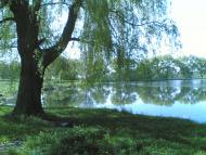 Іванівка з panoramio.com