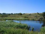 Новолатівка з panoramio.com