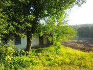 Онопріївка з panoramio.com