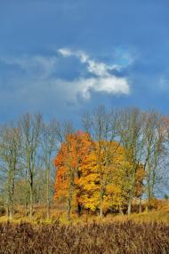 Наварія з panoramio.com