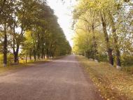 Добра з panoramio.com