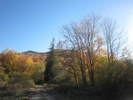 Гриньків з panoramio.com - Гриньків