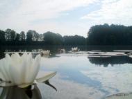 Звіздівка з panoramio.com