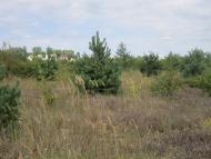 Паланки з panoramio.com