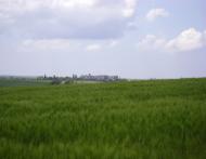 Кубанське з panoramio.com