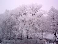 Тереблече з panoramio.com