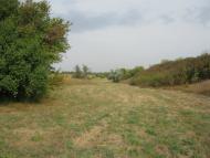 Петровеньки з panoramio.com - Петровеньки