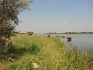 Ганнівка з panoramio.com