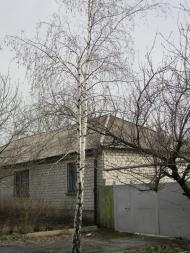 Кріпенський з panoramio.com