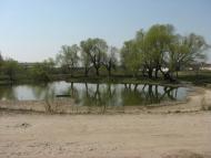 Віленька з panoramio.com