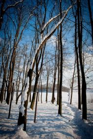 Зарожани з panoramio.com