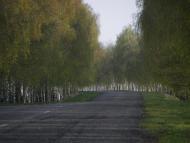 Панфили з panoramio.com