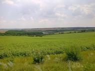 Красногорівка з panoramio.com