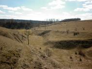 Хоменки з panoramio.com