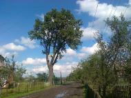 Новий Витків з panoramio.com