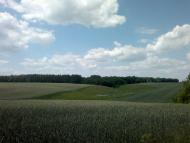 Сніжна з panoramio.com