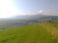 Верхні Ворота з panoramio.com