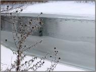 Новий Стародуб з panoramio.com