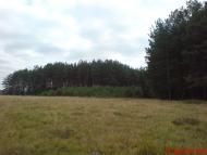 Качали з panoramio.com