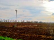 Хижинці з panoramio.com