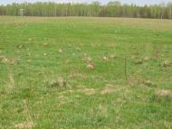 Карижин з panoramio.com