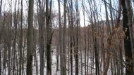 Ворочово з panoramio.com - Ворочево
