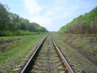 Старі Бейзими з panoramio.com