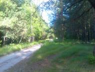 Чернацьке з panoramio.com