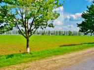 Хижинці з panoramio.com