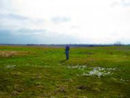 Островського з panoramio.com