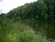 Руські Тишки з panoramio.com