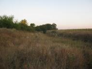 Петровеньки з panoramio.com - Петровеньки