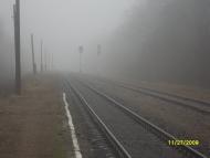 Вербки з panoramio.com