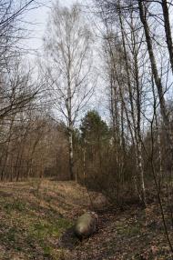 Торф'яне з panoramio.com