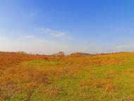 Нижня Кринка з panoramio.com