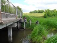 Боремель з panoramio.com