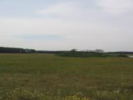 Роїще з panoramio.com