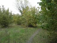 Передільське з panoramio.com