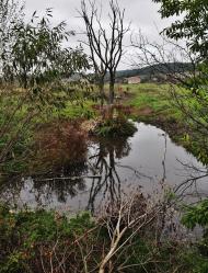 Підмонастир з panoramio.com