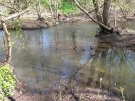 Буринь з panoramio.com