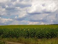 Олександропілля з panoramio.com